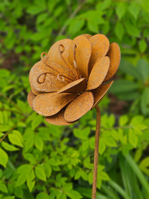 Calypso Flower Stake (NEW) PRE-ORDER For Mid August Delivery