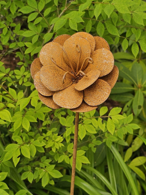 Calypso Flower Stake (NEW) PRE-ORDER For Mid August Delivery