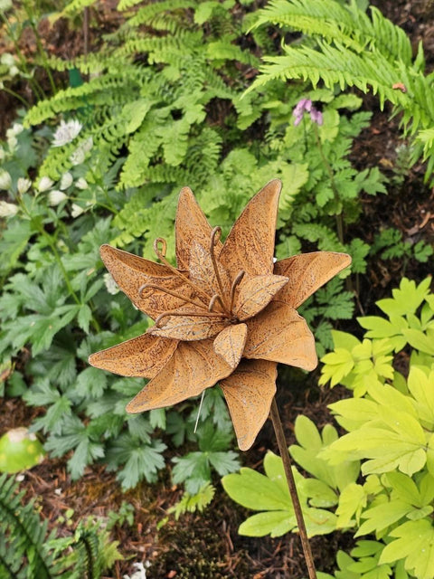 Cressia Flower Stake (NEW) PRE-ORDER For Mid August Delivery