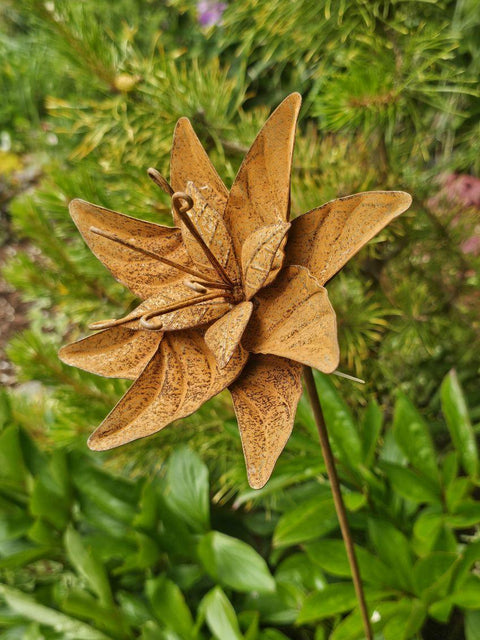 Cressia Flower Stake (NEW) PRE-ORDER For Mid August Delivery
