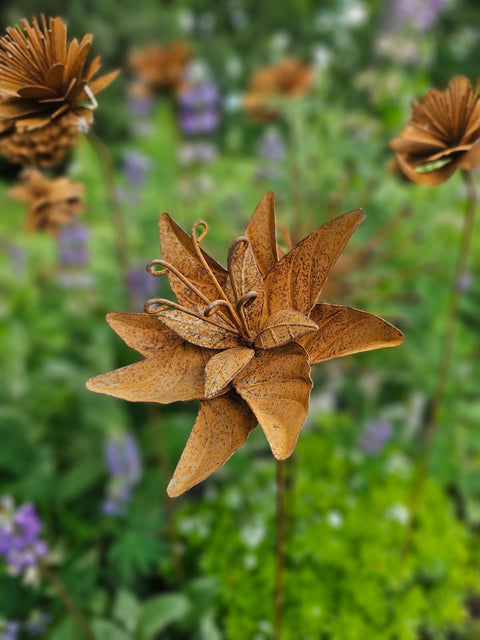 Cressia Flower Stake (NEW) PRE-ORDER For Mid August Delivery