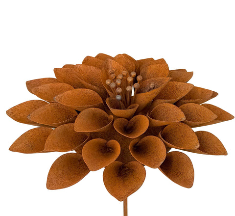 Lizabeth (NEW) - Elegant Garden Design