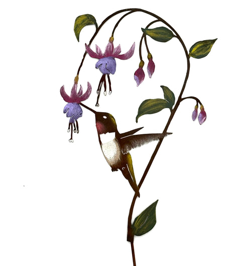 Hummingbird on Fuchsia Pick