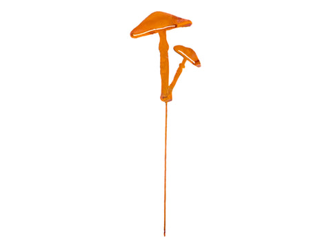 Mushroom Pick Set
