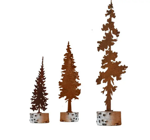 Spruce Tree