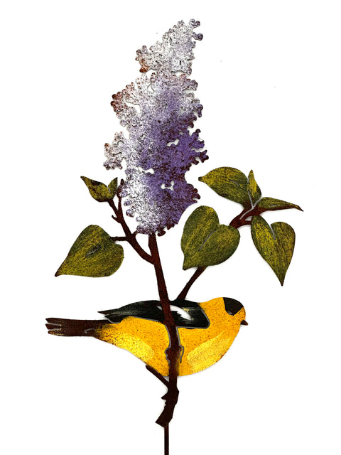Painted Warbler on Lilac Pick