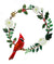 Cardinal on Holly Wreath