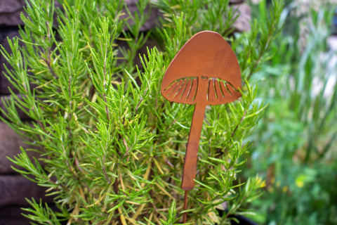 Magic Mushroom Pick