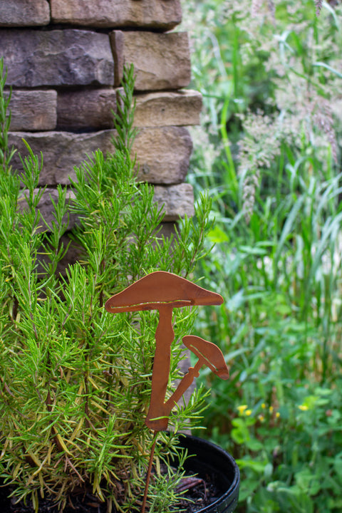 Painted Sticky Cap Mushroom Pick