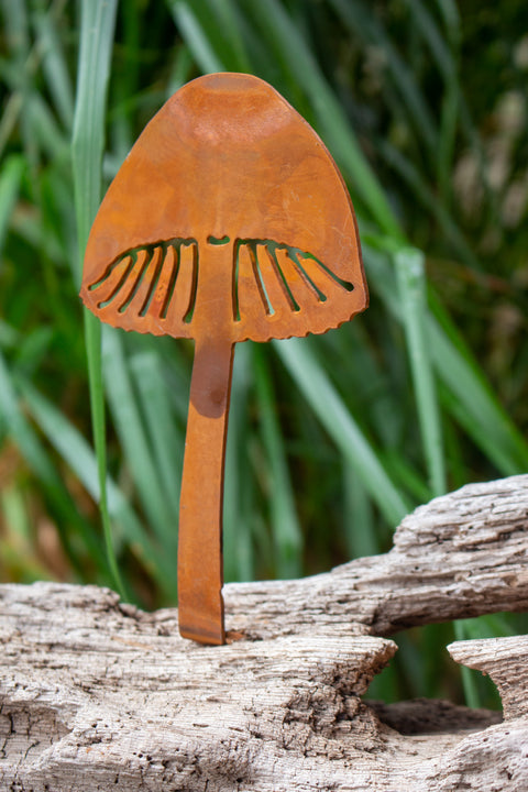 Magic Mushroom Tab