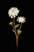 Queen Anne's Lace Flower Painted Garden Pick