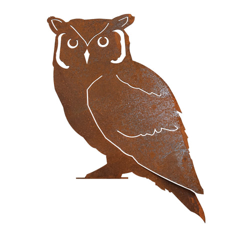 Screech Owl