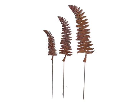 Fern Leaf and Frond Stakes