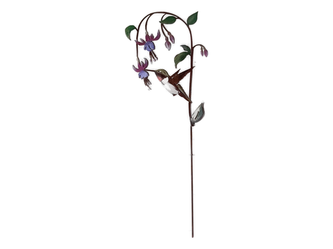 Hummingbird on Fuchsia Pick